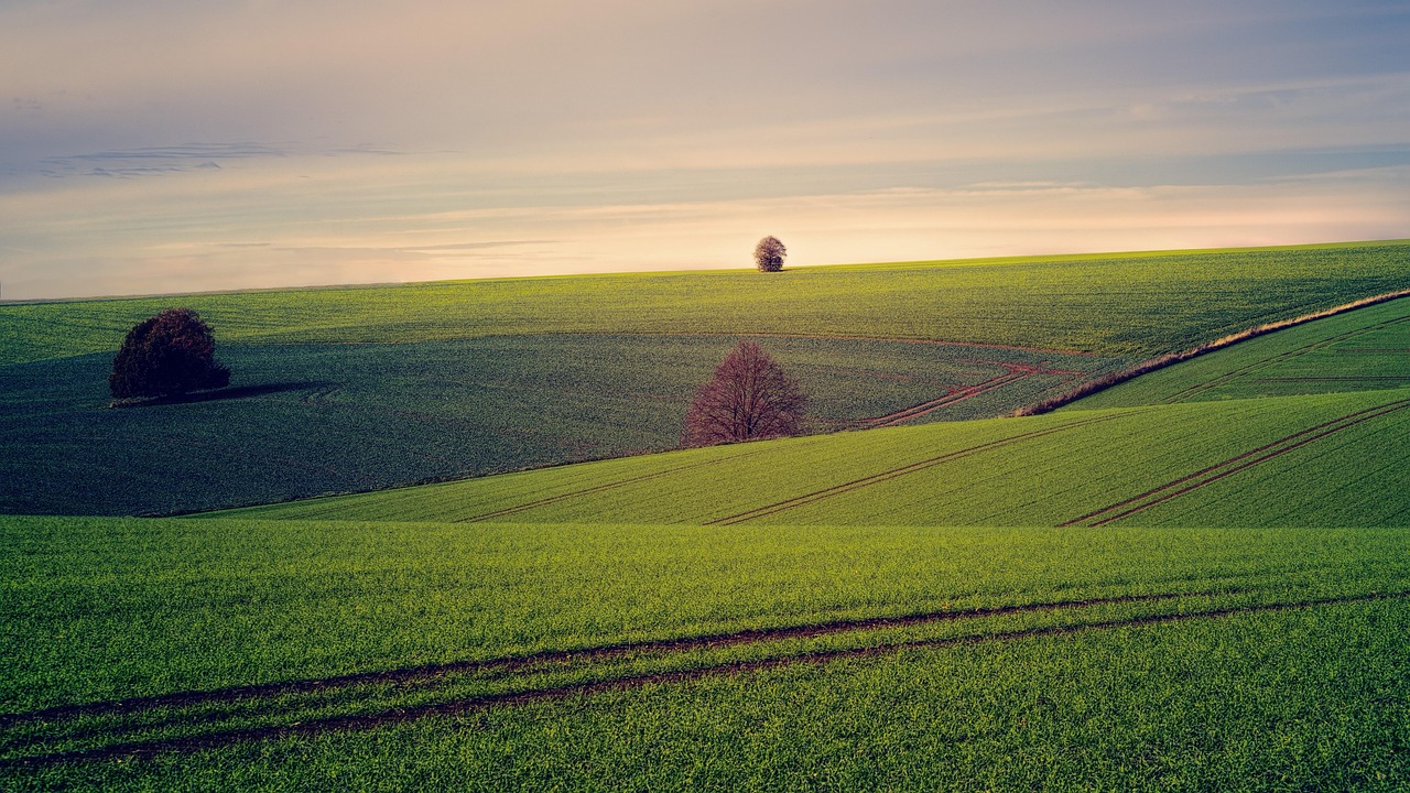Rolling green fields of Ireland